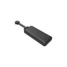 G19 - 2G 4PIN 55MAH